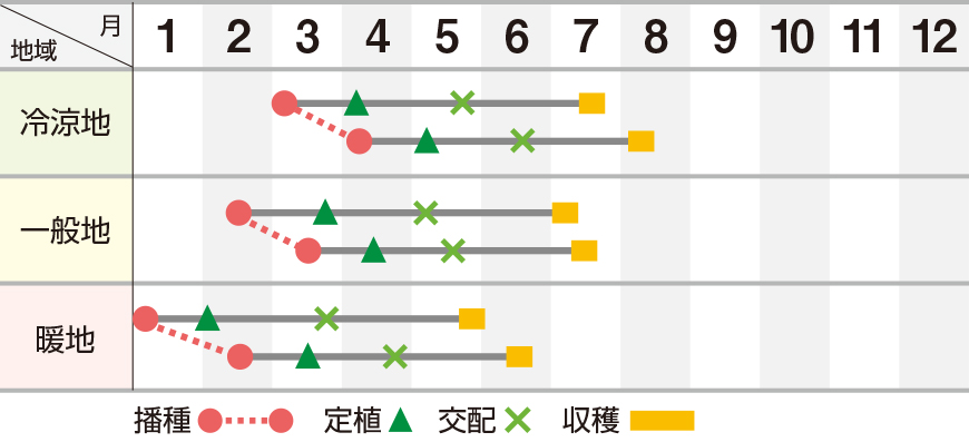 夏のクインシー