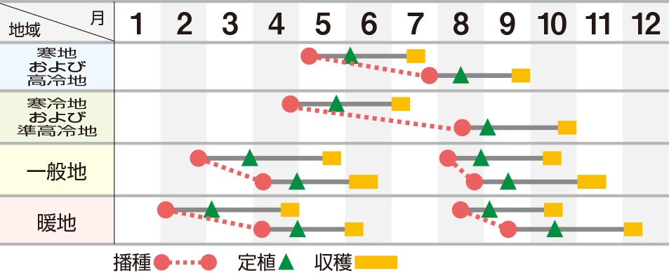 キュアレッド１号