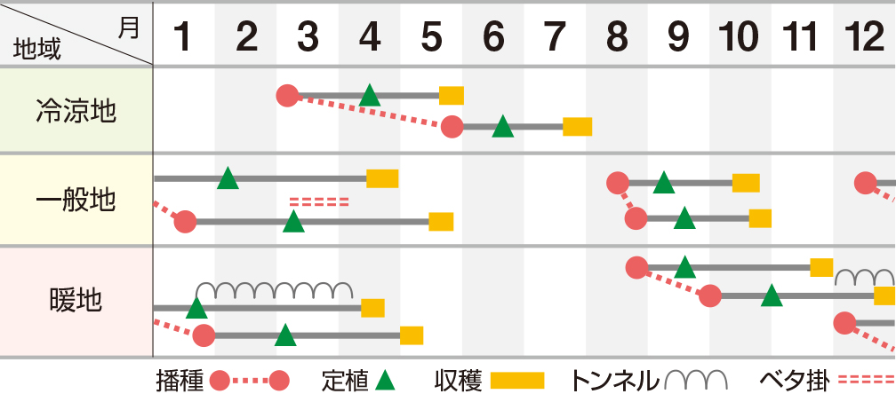 ハワイ２号