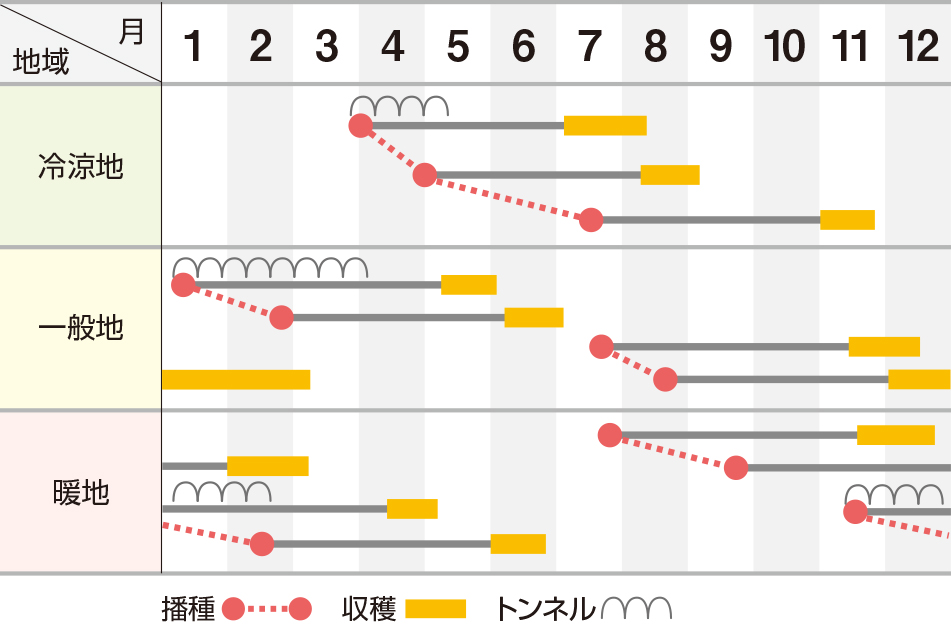 れいめい五寸