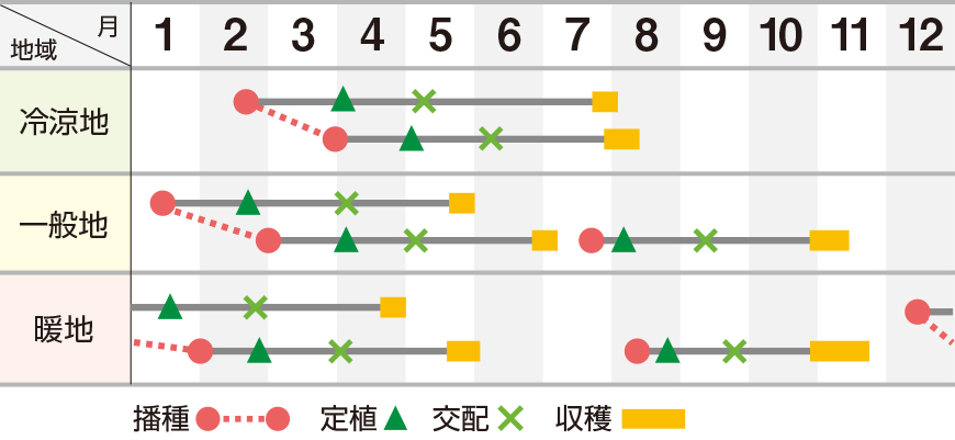 クインシー７１９