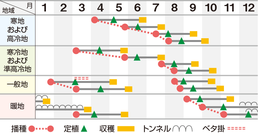 ノーチップ