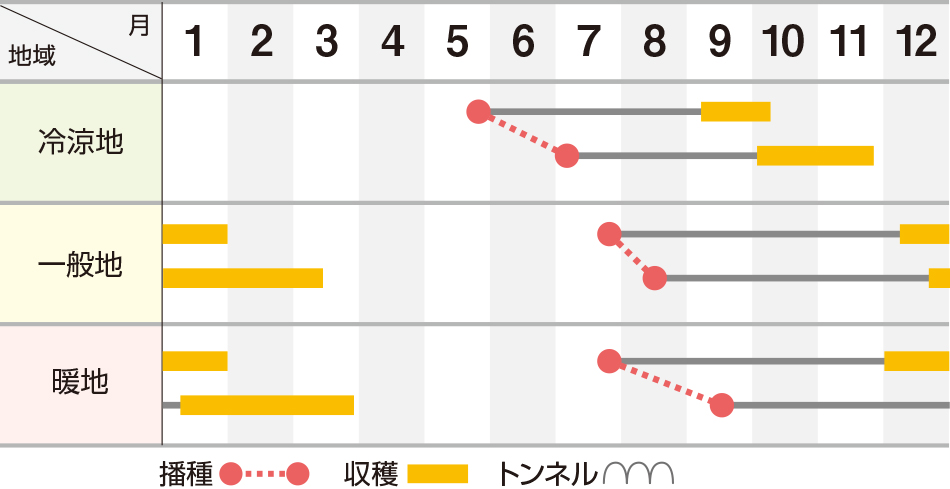 はまべに五寸