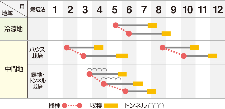 ラスティ