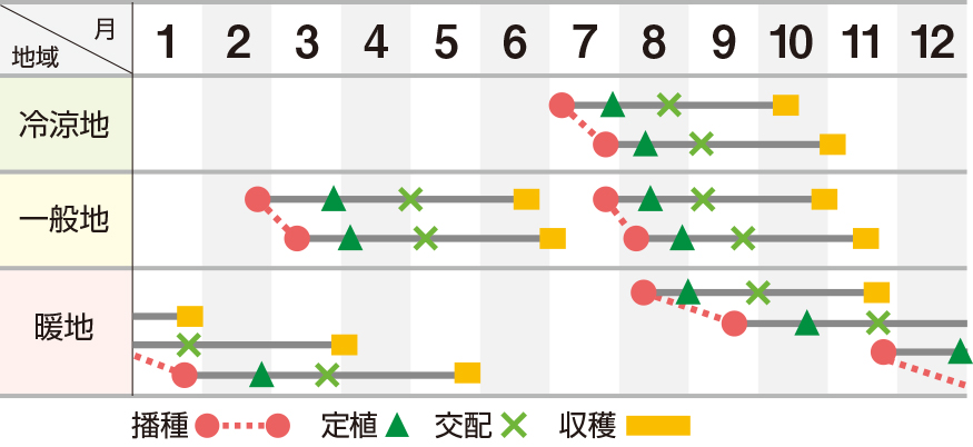 雅秋冬系