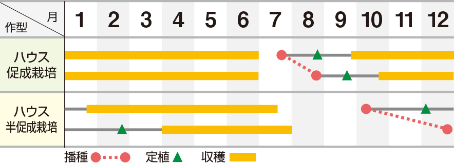 はばたき３号