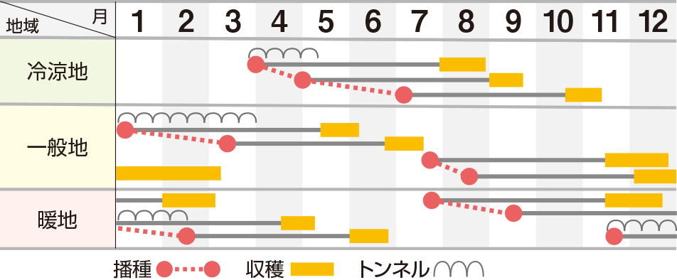 ちはま五寸