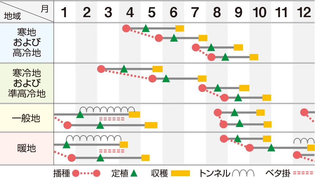 ロザンナ