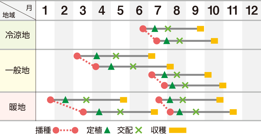 雅春秋系