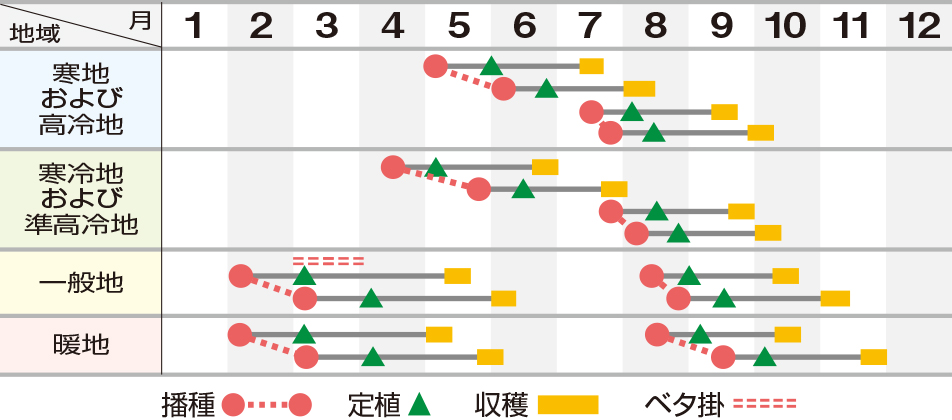 ラプトル