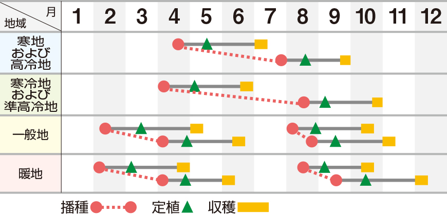 キュアグリーン１号