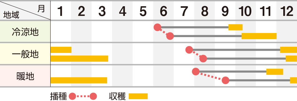 らいむ五寸