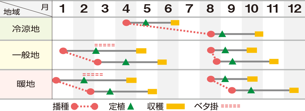 スプラッシュ１号