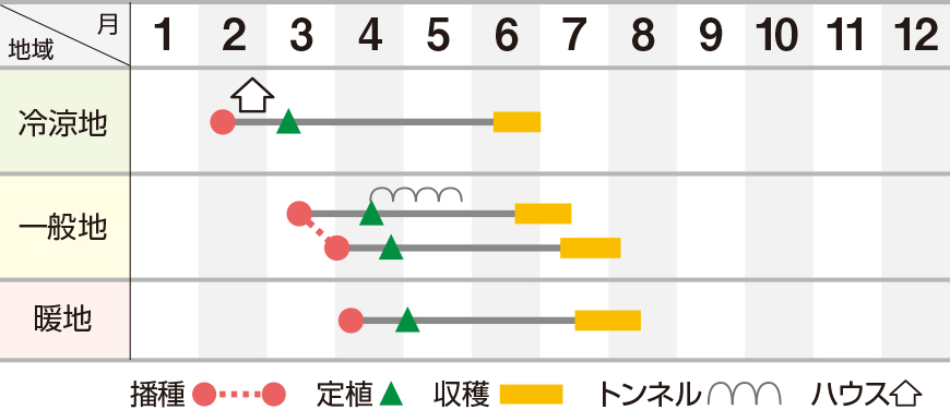 チャンピオン