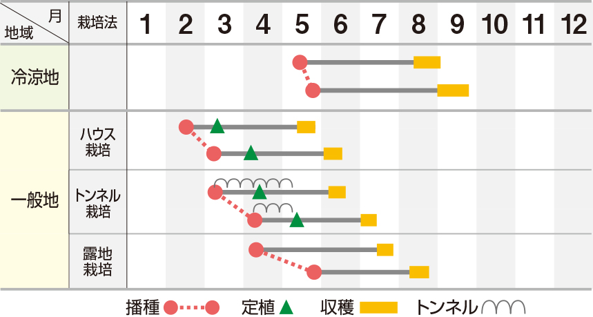 大莢はまにしき