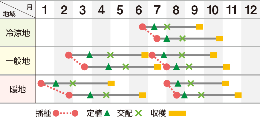 雅早春晩秋３０９（ＵＡ－３０９）