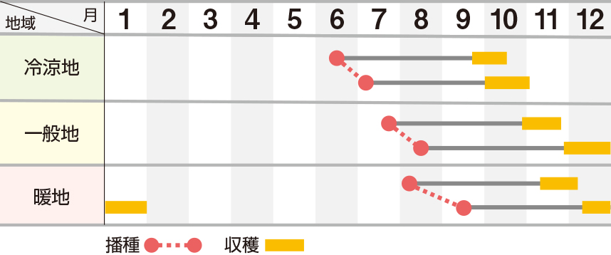 ゆめはま五寸