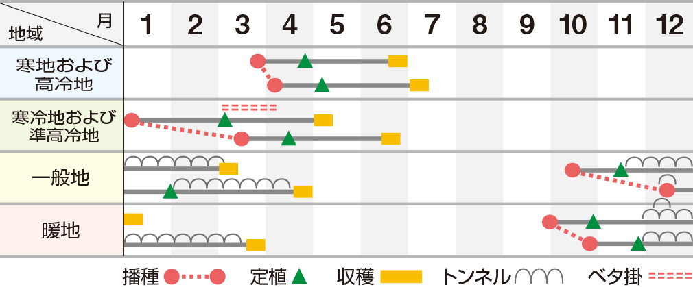 ブリザード