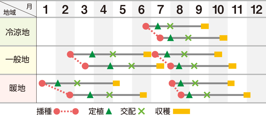 ソナタ春秋系２号（UA-215）