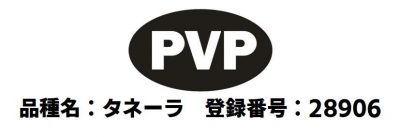 タネなっぴー、その他の画像