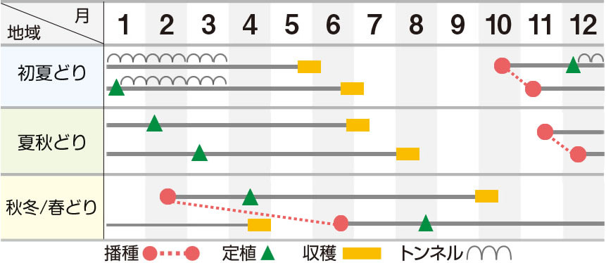 龍のぼり【新商品】