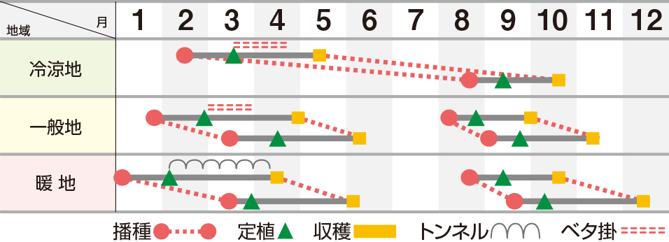 シフォングリーン