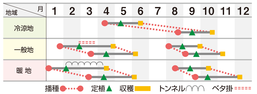 グリーンマム