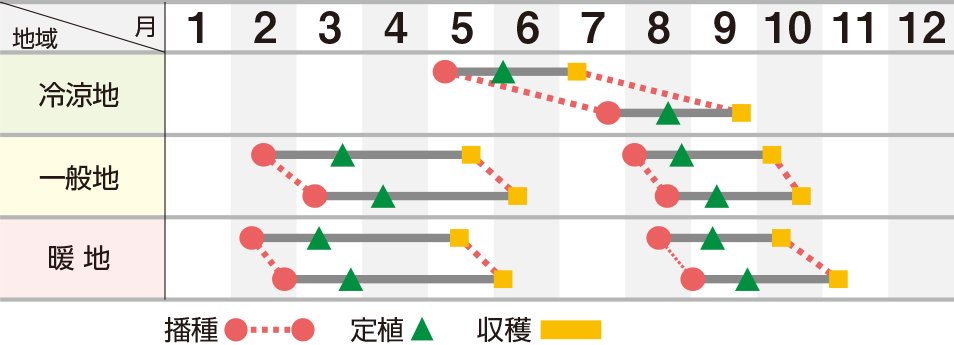 ラスター