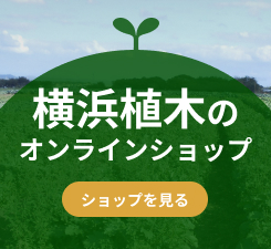 横浜植木のオンラインショップ　2022年3月1日オープン！！