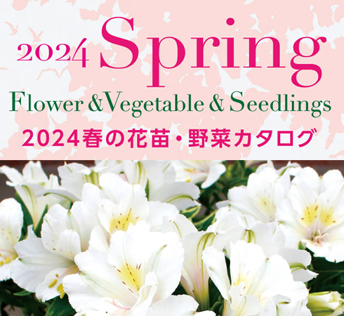 横浜植木「2024春の花苗・野菜カタログ」