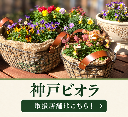 神戸ビオラ取扱店舗一覧(2026年10月)はこちら